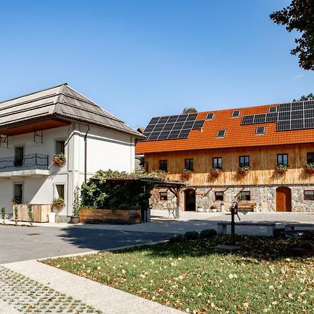 Youth Hostel Arsviva Stari Trg pri Lozu Ngoại thất bức ảnh